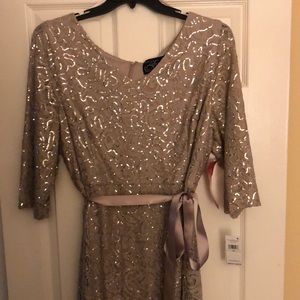 Brand new - never worn champagne sparkly cocktail dress by Alex Evenings